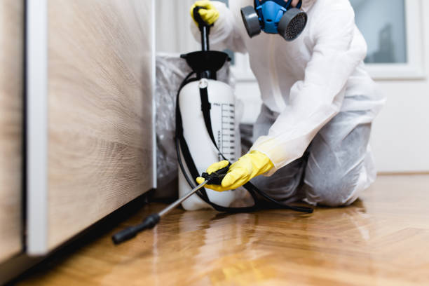 Best Pest Prevention Services  in Montgomery, OH