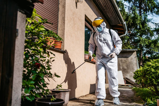 Best Wasp Removal Services  in Montgomery, OH