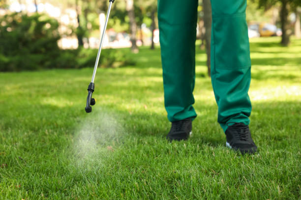 Best Termite Control Services  in Montgomery, OH