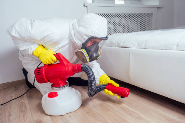 Best Local Pest Control Services  in Montgomery, OH