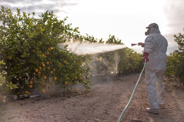Best Pest Removal Services  in Montgomery, OH